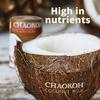 Chaokoh Coconut Milk 400ml - Pack of 6 | Premium Quality | Rich and Creamy | Pure and Natural | Premium Thai Coconut Milk view 3