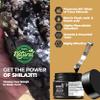 Pure Himalayan Shilajit Resin- 600mg 100% Natural Shilajit with 85+ Trace Minerals & Fulvic Acid for Energy, Strength & Immunity, 30 Grams (1) view 3