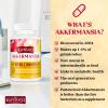 30 Billion AFU Akkermansia Muciniphila, Probiotic for Gut Health & Digestive, Most Potent Probiotic Supplement, A Live Akkermansia Supports Gut Lining & GLP-1, for Women & Men (60 Count (Pack of 1)) view 2