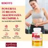 30 Billion AFU Akkermansia Muciniphila, Probiotic for Gut Health & Digestive, Most Potent Probiotic Supplement, A Live Akkermansia Supports Gut Lining & GLP-1, for Women & Men (60 Count (Pack of 1)) view 4