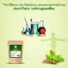 High Strength Ashwagandha Extract Powder 5:1- No Filler or Binders - Withania somnifera (50 GM) view 3