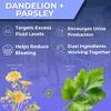 A1 Physique Water Retention Tablets for Fluid Retention - Double Strength Natural Water Balance Tablets with Dandelion Leaf Extract & Parsley Leaf for Fast Bloating Relief and Water Retention Remedy view 3
