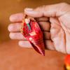 Desi Favors Cone Shaped Haldi Kumkum | Haldi & Kumkum Pooja Gift, Housewarming Gifts, Wedding Gift - Made in India - Yellow & Red 3 Inch (Pack of 10) view 3