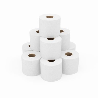 ARA CHOICE 6/12x Centre Feed Embossed 2 Ply Paper Kitchen Hand Towels 375 Sheets Per Roll Toilet Tissue Paper Universal Towel Refill Towel Dispenser (12)