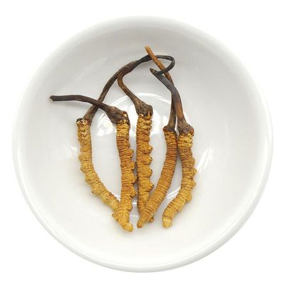 Akersunder Genuine Dried Cordyceps sinensis/winterworm summerherb, Ophiocordyceps sinensis, naqu cordyceps nagqu Featured, 1g. (5 pcs)