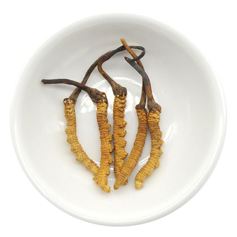 Akersunder Genuine Dried Cordyceps sinensis/winterworm summerherb, Ophiocordyceps sinensis, naqu cordyceps nagqu Featured, 1g. (5 pcs)