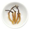 Akersunder Genuine Dried Cordyceps sinensis/winterworm summerherb, Ophiocordyceps sinensis, naqu cordyceps nagqu Featured, 1g. (5 pcs) view 1