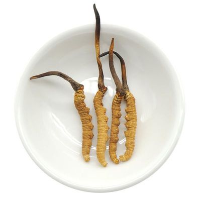 Akersunder Genuine Dried Cordyceps sinensis/winterworm summerherb, Ophiocordyceps sinensis, naqu cordyceps nagqu Featured, 1g. (4 pcs)