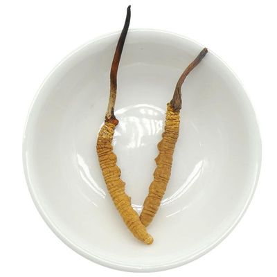 Akersunder Genuine Dried Cordyceps sinensis/winterworm summerherb, Ophiocordyceps sinensis, Tibet Featured, (2 pcs) net Weight 1g.