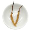 Akersunder Genuine Dried Cordyceps sinensis/winterworm summerherb, Ophiocordyceps sinensis, Tibet Featured, (2 pcs) net Weight 1g. view 1