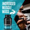 GN Creatine Capsules | 240 Creatine Monohydrate Capsules for Men & Women | High Strength 4200mg Creatine-Monohydrate Per Serving | Non-GMO, Gluten & Filler Free view 4