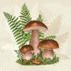 Malagro 20 Napkins Autumn Porcini on Fern as Table Decoration Paper Napkins with Motif Also for Decoupage and Decoupage 33 x 33 cm view 1