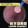 Beast Hydro Electrolytes Powder - 60 Servings Keto Hydration Drinks with Potassium Supplement - 360g, Lemon Sherbet view 2