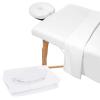 3PCS Microfiber Massage Table Sheet Set,Beauty Massage Bed Cover Polyester Fibre Massage Couch Cover,Premium Facial Bed Cover,Includes Flat,Fitted Sheets and Face Cradle Cover,for Beauty Salon Spa view 1