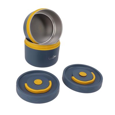 DAUZ Lunch Container Proof Lunch Container Stainless Steel (3 Insulated Box)