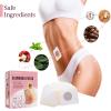 Monozoz Slimming Patches for Belly Fat, Pack of 30 Abdominal Slimming Stickers - Anti-Cellulite Body Slim Stickers, Vegetable Slimming Plasters Promotes Metabolism view 3