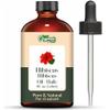 Organic Zing Hibiscus (Rosa sinensis) Oil | Pure & Natural Essential Oil for Skincare, Hair Care & Massage- 30ml/1.01fl oz view 1