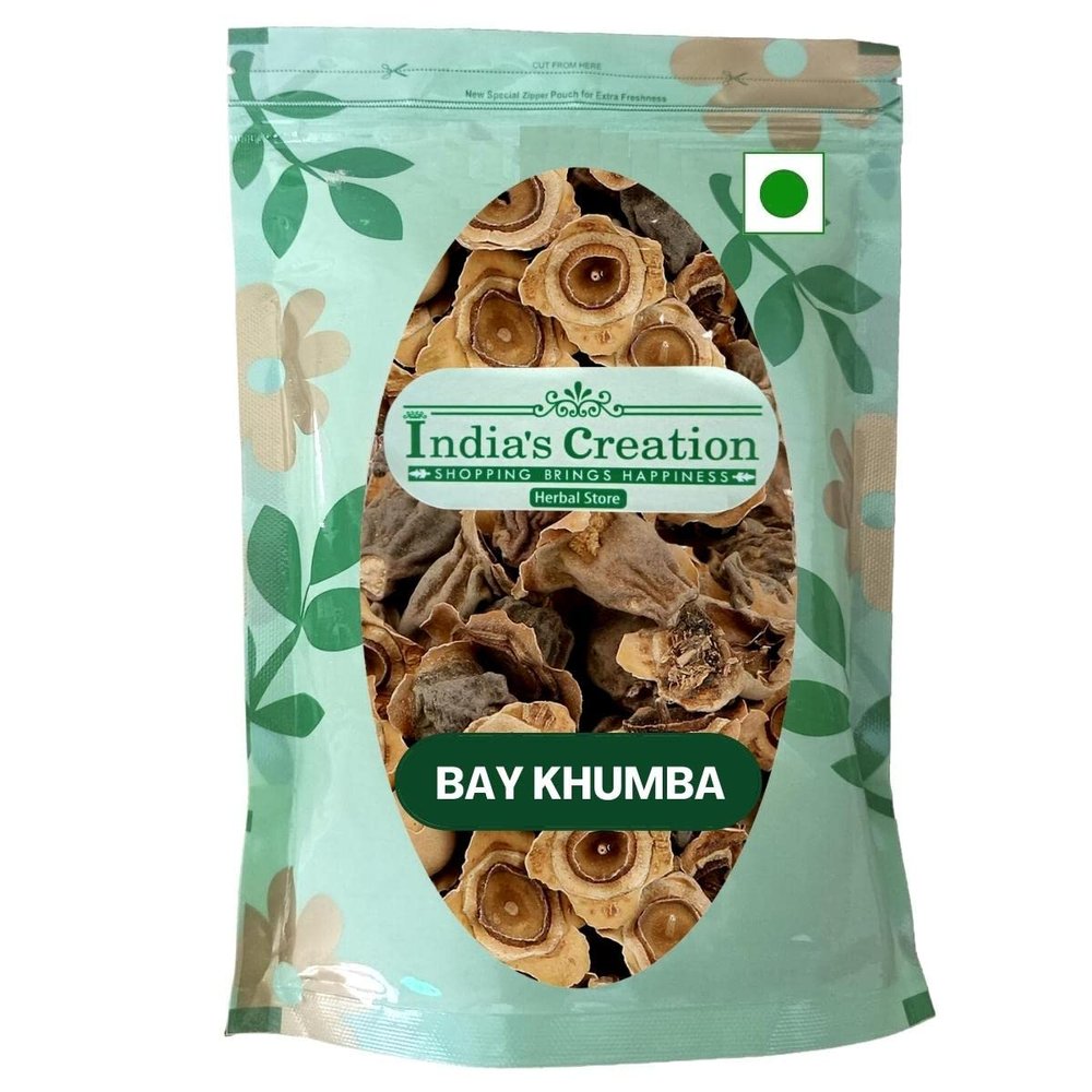 Bay Khumba-Careya Arborea-Raw Herbs-Dried Vakumbha-Kumbhi-Baikhumba-Jadi Booti-Single Herbs (100 Gram)