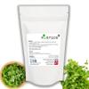 Nutrics 500mg (per Capsule) Cilantro Coriander 90 V Capsules (1 Month Supply) Free from fillers, Binders & Bulking Agents - Suitable for Vegan Vegetarian Diet view 3