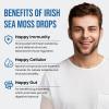 Liposomal Irish Sea Moss Drops 1550MG, with Burdock Root and Bladderwrack Extract, 4X Stronger Than Pills & Gel, Gut & Immune Balance, 60ml (Pack of 1) view 3