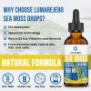 Liposomal Irish Sea Moss Drops 1550MG, with Burdock Root and Bladderwrack Extract, 4X Stronger Than Pills & Gel, Gut & Immune Balance, 60ml (Pack of 1) view 4