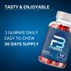 FitBites Gummies - 1 Month Supply - Fit Bites Gummies view 3