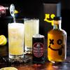Fitch & Leedes Ginger Ale Mixer for Spirits & Cocktails (6 x 200ml)  Ideal for Brandy, Whiskey, Rum, London Dry Gin, and Vodka, Offering a Smooth Finish with Natural Cane Sugar and Ginger view 4