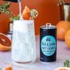Fitch & Leedes Dry Lemon Mixer for Spirits & Cocktails (6 x 200ml)  Ideal for London Dry Gin, Vodka, and Spiced Rum, Offering a Refreshing Zest with a Hint of Tartness view 4