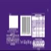 Cadbury Timeout Multipack, Individual Chocolate-Covered Wafer Bars with Rippled Layers of Chocolate, 7 x 20.2 g (Pack of 7) view 4