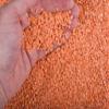 Maven wholefoods Organic Red Split Lentils 2kg | Raw | GMO Free | High Fibre & Protein | Certified Organic | Suitable for Vegetarian & Vegan | Packed Fresh in Resealable Bags (2kg) view 4