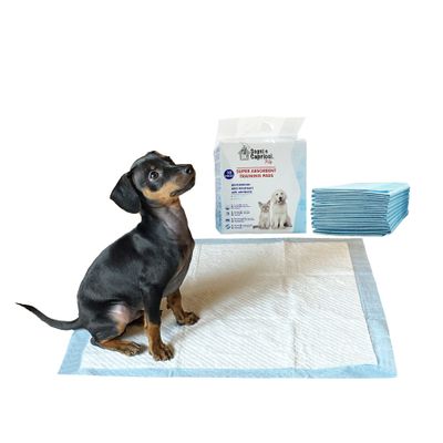 Absorbent Mat 60 x 60 cm Dreams and Whims Pets, Neutral 1 Envelope (10 Pieces)