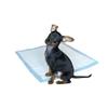 Absorbent Mat 60 x 60 cm Dreams and Whims Pets, Neutral 1 Envelope (10 Pieces) view 2