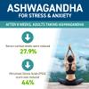 Applied Nutrition Ashwagandha KSM-66 - Premium Ashwagandha Herbal Supplement for Energy, Anxiety, Stress, Made in The UK (60 Capsules) view 3
