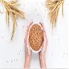 Maven wholefoods Organic Spelt Grain 500g | Raw | GMO Free | High Fibre & Protein | Certified Organic | Suitable for Vegetarian & Vegan | Packed Fresh in Resealable Bags (500g) view 3