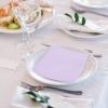 100 pcs 2-Ply Purple Napkins Folded 5 x 5 inch Disposable Cocktail Napkins Paper Napkins for Dinner Wedding Party Beverage Napkins view 4