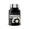 Scitec Nutrition Mega Ginseng - Korean Ginseng Extract for Naturally Supplementation, 100 Capsules view 1