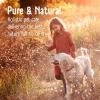 Pure & Natural Premium Colloidal Silver Spray for Dogs & Other Pets - 10ppm Antifungal, Antibacterial Pet Care - 100ml view 4