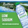 Avant Natural Mineral Still Water 1.5L x 6 view 4