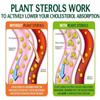 VITA PHARMA Plant Sterols 1000mg 365 Tablets, Healthy Cholesterol Levels, Balanced Lipid Levels, Circulatory Health, Heart Wellness view 3