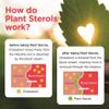 VITA PHARMA Plant Sterols 1000mg 365 Tablets, Healthy Cholesterol Levels, Balanced Lipid Levels, Circulatory Health, Heart Wellness view 4