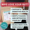 Love Your Gut Diatomaceous Earth Capsules  120 Pills  Pure Food Grade Silica for Gut Cleanse & Detox  High in Iron for Energy & Tiredness  Formulated by Clinical Nutritionist Lee Holmes view 4
