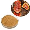 MB Superfoods Stress Relief and Adaptogens Bundle: Reishi, Ashwagandha, Cordyceps (100g Each) view 2