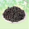Habulas-Mytrus Communis Linn-Raw Herbs-Myrtle-Jadi Booti-Single Herbs (50 Gram) view 2