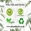 High Strength Varuna Bark Extract Powder 5:1  Crataeva nurvala - No fillers and Binders (100 gm) - Natural and Pure - by Oils and Herbs UK view 3