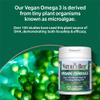 Nature's Best Vegan Omega 3 Oil - High-Strength, 250mg DHA - Plant-Based, Supports Vision & Brain Function - UK Made - 60 Vegan Capsules (2 Months' Supply) view 4