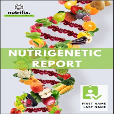 Main Nutritional Levers