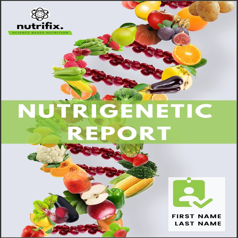 Main Nutritional Levers