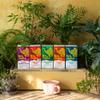 Tea India Chai Tea Bags (4 Packs of 40 Biodegradable Tea Bags) Rainforest Alliance Certified (Decaf Masala Chai) view 4