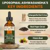 AureaSalus Liposomal Ashwagandha Drops 2000mg, Pure Natural Ashwagandha Extract, Enrich Probiotics & Black Pepper Extract, Stress Relieve Supplements, Increase Energy (60 ml (Pack of 1)) view 2