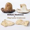 VIGOROUS MOUNTAINS Mushroom Chips Veggie Snacks - Dried Shiitake and King Oyster Good Salted Crisp Mix - Grocery Vegetable Snack Chip 250g view 3